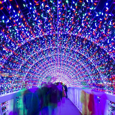 This gorgeous bridge displays thousands of shimmering lights each holiday season at Rhema Christmas Lights in Broken Arrow.