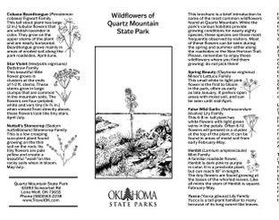 Native Wildflower Guide