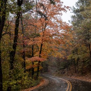 Bring your camera on your journey to Beavers Bend State Park and capture some of the best fall foliage in the state.