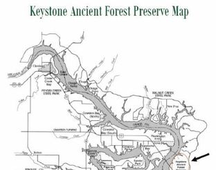 View Map of Keystone Ancient Forest