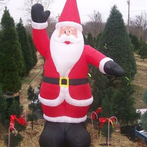 Oklahoma Christmas Tree Farms | TravelOK.com - Oklahoma's Official ...