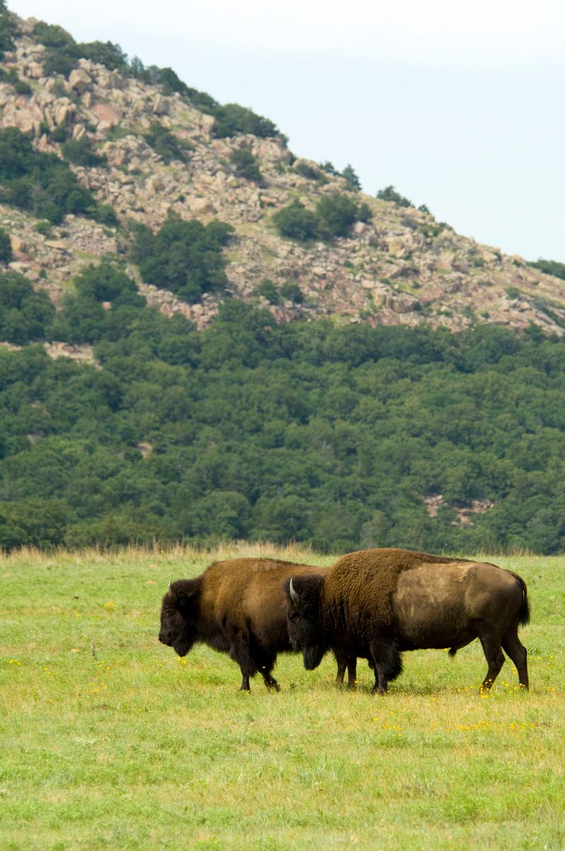 Wichita Mountains Wildlife Refuge & Visitor's Center | TravelOK.com ...