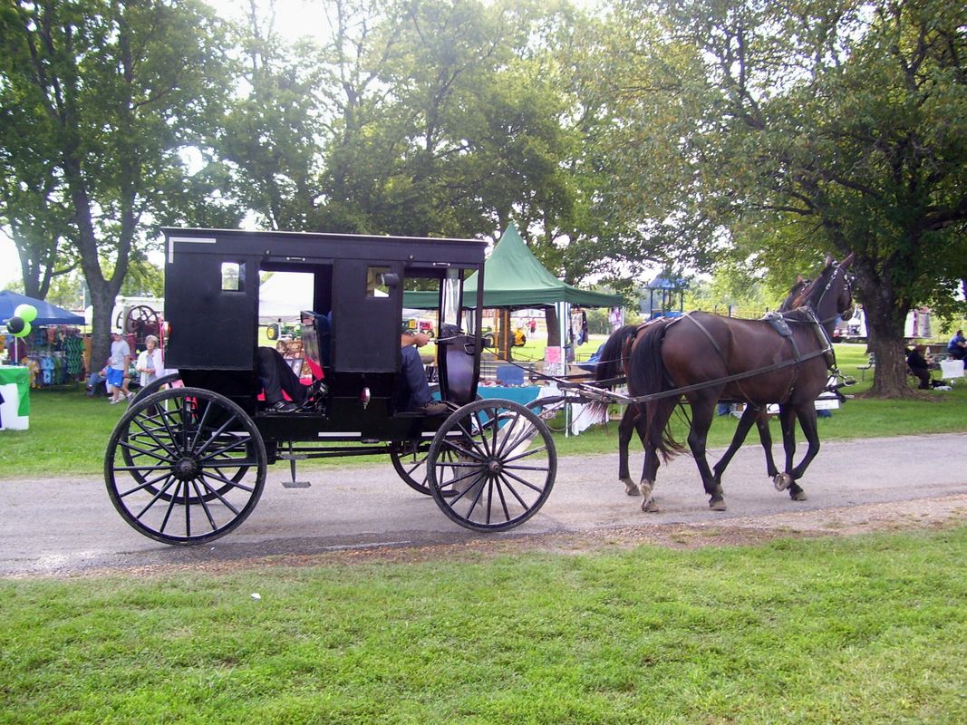 Black Buggy Day | TravelOK.com - Oklahoma's Official Travel & Tourism Site