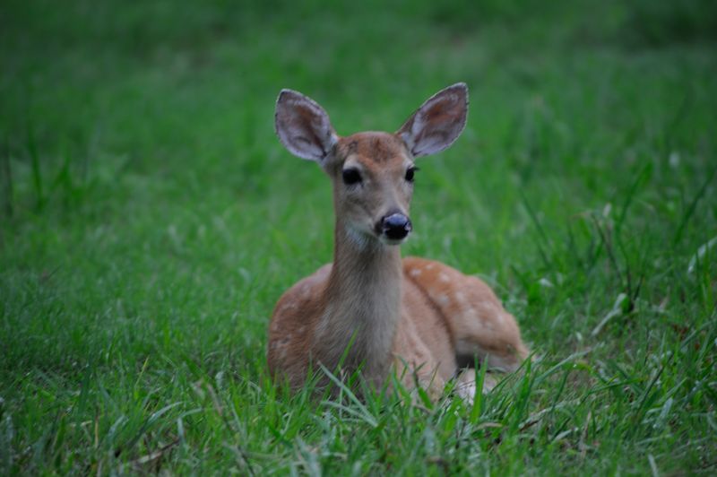 Arbuckle Mountains - Outdoor Playground | TravelOK.com - Oklahoma's ...