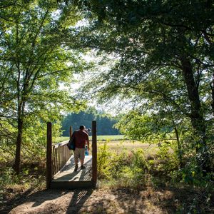 Take a scenic summer hike through Lake Eufaula State Park, located in northeast Oklahoma. Photo by Lori Duckworth/Oklahoma Tourism.