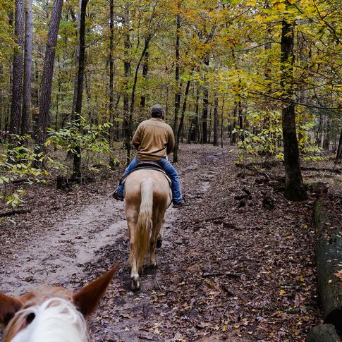 Take a scenic horseback ride through gorgeous foliage with the Beavers Bend Depot.