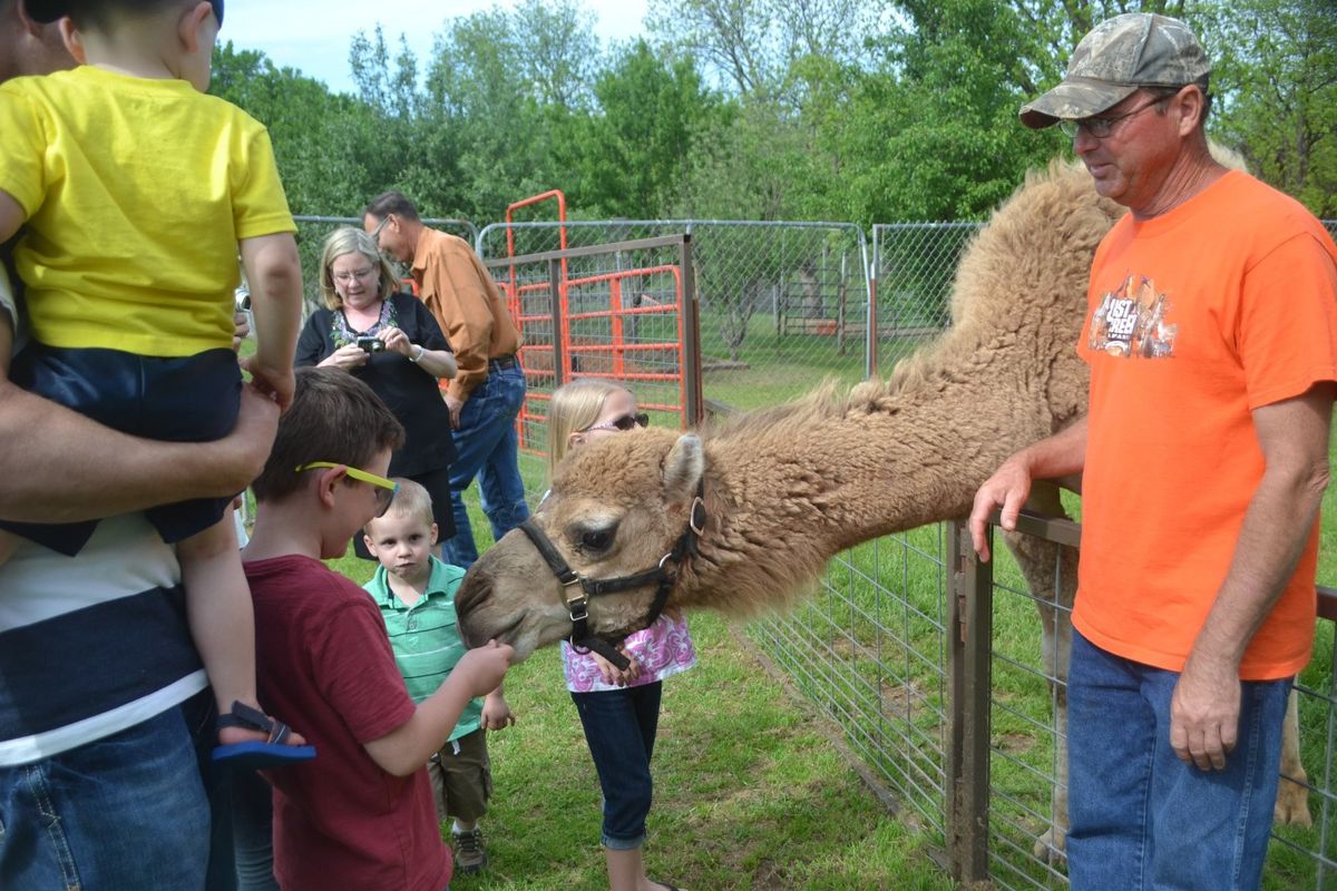 Lost Creek Safari | TravelOK.com - Oklahoma's Official Travel & Tourism ...