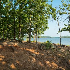 Sit along the shoreline under the shade of towering trees at McGee Creek State Park. Photo by Kim Baker.