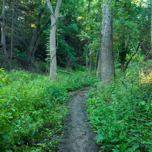 Add Boiling Spring State Park's lush, green landscape to your hiking bucket list.