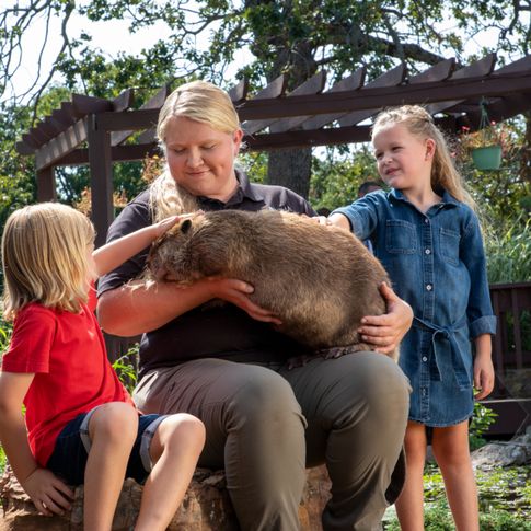 Sequoyah State Park naturalist Sierra Coon sharing rescued beaver Bixby with park guests at Three Forks Nature Center.