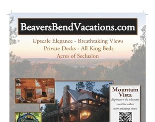 View Mountain Vista Luxury Cabin Flyer