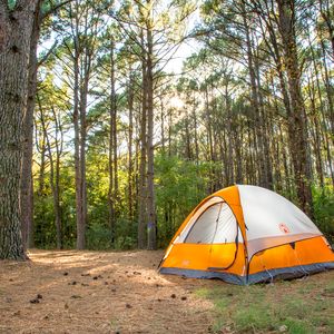 Cherokee Landing State Park is known for its lush, wooded areas in eastern Oklahoma. Photo by Lori Duckworth/Oklahoma Tourism.