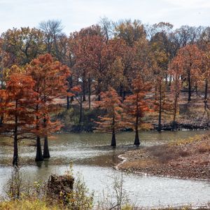 Take in some of the best views of Fort Gibson Lake at Sequoyah Bay State Park. Photo by Lori Duckworth/Oklahoma Tourism.