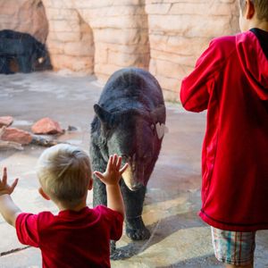 Oklahoma City Zoo & Botanical Garden | TravelOK.com - Oklahoma's ...