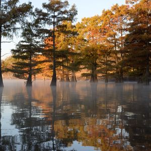 Head to Sequoyah State Park in the fall to see cypress trees reflect autumn colors off of Fort Gibson Lake.