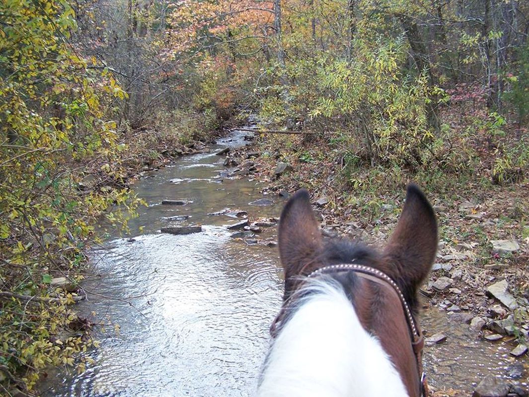 Cedar lake equestrian camp hot sale