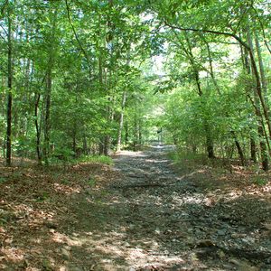 David Boren Hiking Trail | TravelOK.com - Oklahoma's Official Travel ...