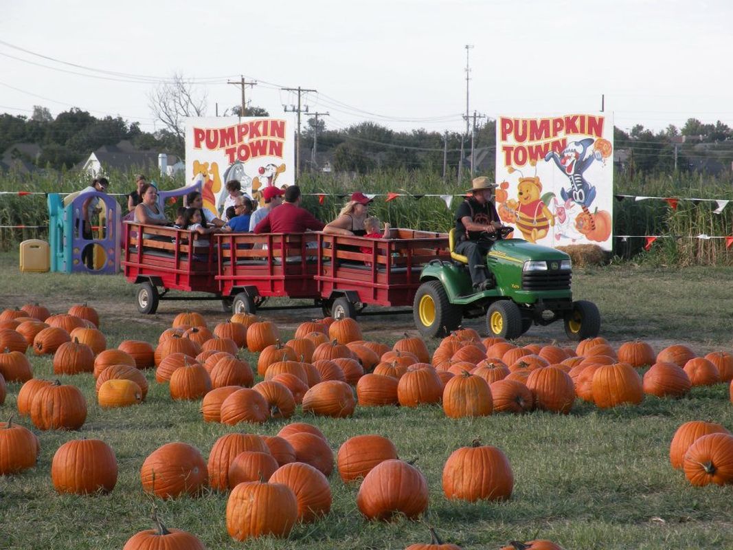 Pumpkin Town Farms | TravelOK.com - Oklahoma's Official Travel ...