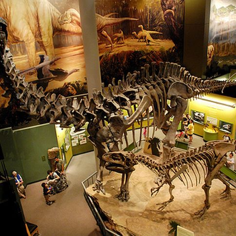 Norman is the home of the Sam Noble Oklahoma Museum of Natural History on the University of Oklahoma campus.  The museum's resident dinosaurs, gargantuan prehistoric bugs, nature dioramas and walk-through cave make it extremely popular with the kids.