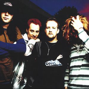 The Nixons