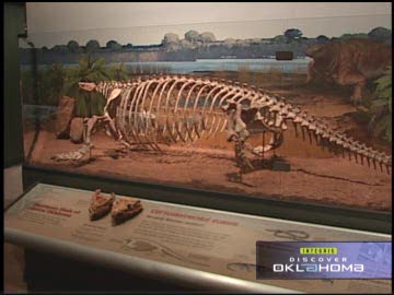 Sam Noble Museum Video