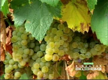 Canadian River Winery and Peach Crest Farms