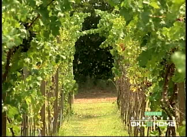 Sparks Vineyard & Winery Video