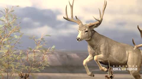 Black Mesa Exhibit Video