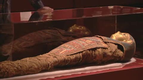 Mabee-Gerrer Museum of Art Video