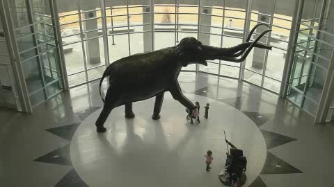 Sam Noble Museum of History Video