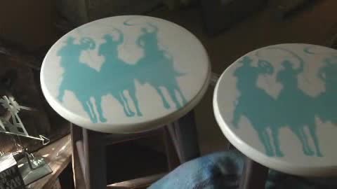 City Slickers 101 Video