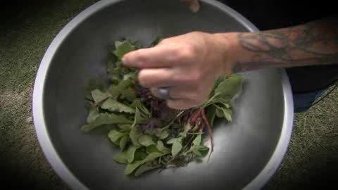 The Living Kitchen Farm & Dairy Video